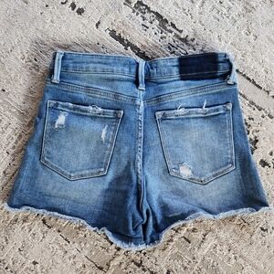 Vervet Cutoff Jean Shorts
